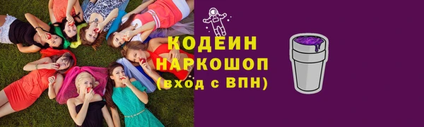 хмурый Алексин