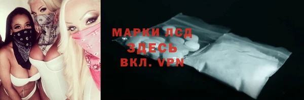 хмурый Алексин