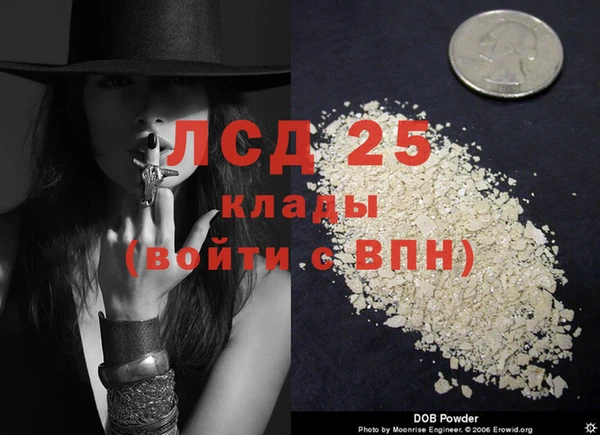 хмурый Алексин