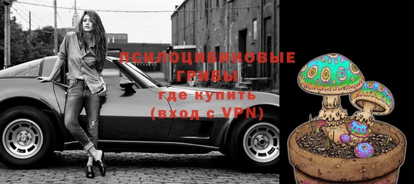 ешки Алексеевка